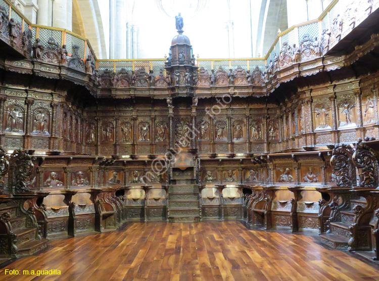 SANTO DOMINGO DE LA CALZADA (220) Catedral