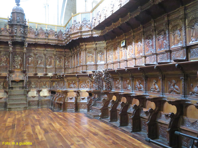 SANTO DOMINGO DE LA CALZADA (221) Catedral