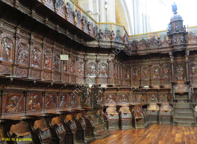 SANTO DOMINGO DE LA CALZADA (222) Catedral