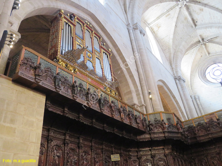 SANTO DOMINGO DE LA CALZADA (223) Catedral