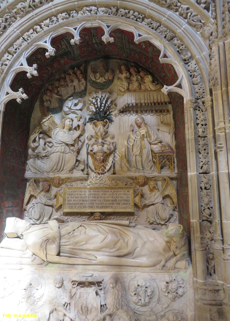 SANTO DOMINGO DE LA CALZADA (230) Catedral