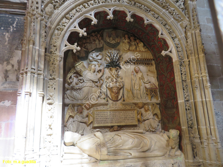 SANTO DOMINGO DE LA CALZADA (231) Catedral