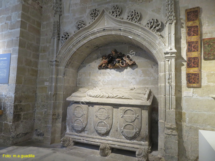 SANTO DOMINGO DE LA CALZADA (237) Catedral