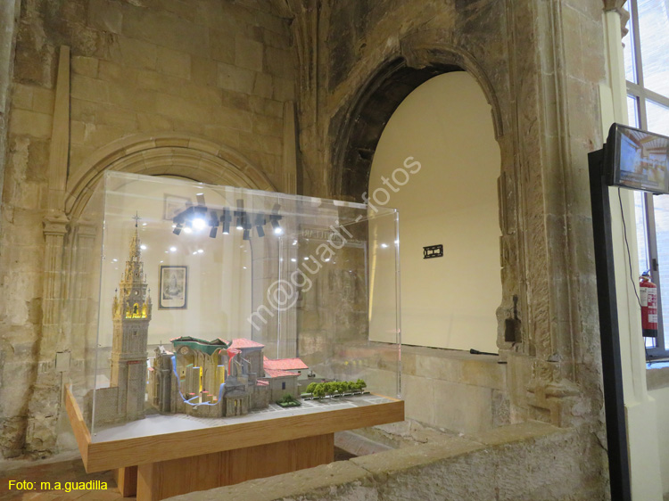 SANTO DOMINGO DE LA CALZADA (238) Catedral