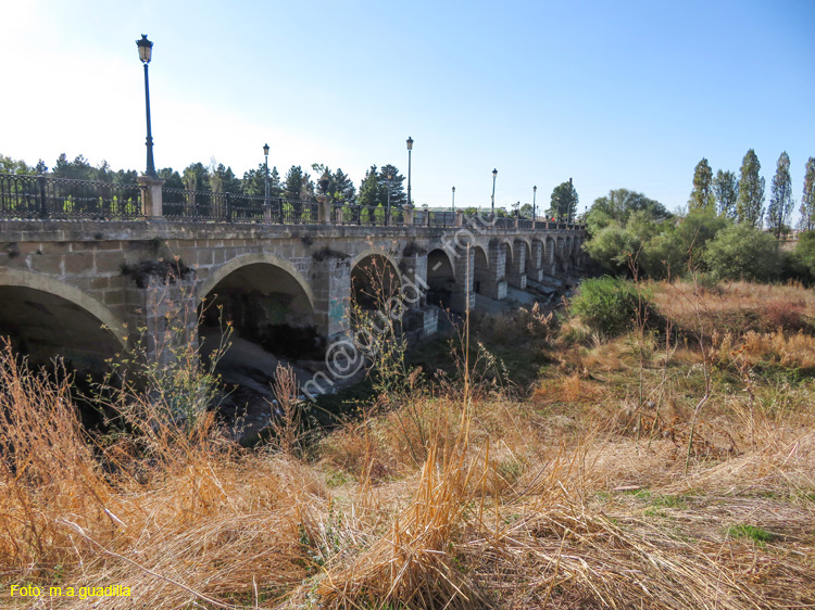 SANTO DOMINGO DE LA CALZADA (312) Puente sobre el rio Oja