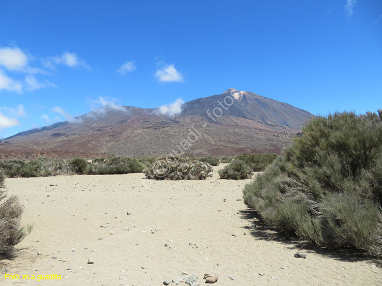 EL TEIDE (105)