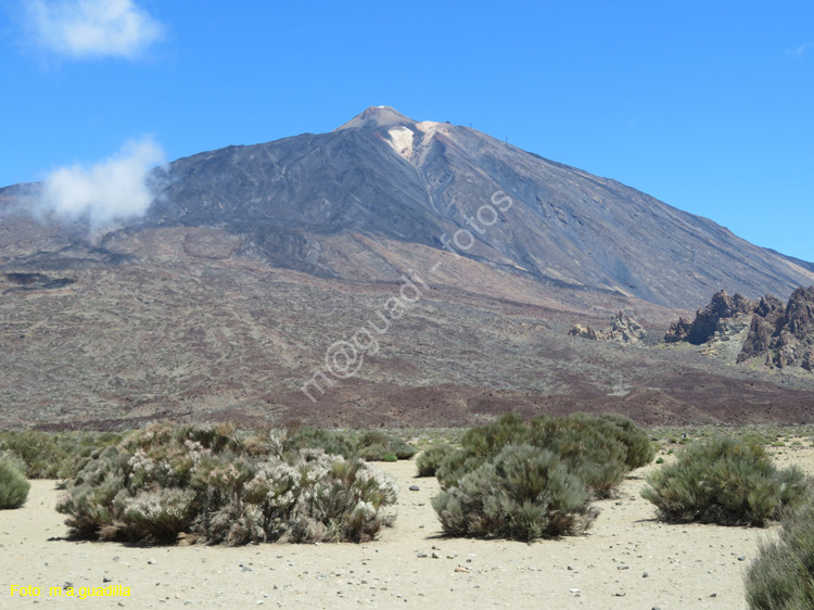 EL TEIDE (106)
