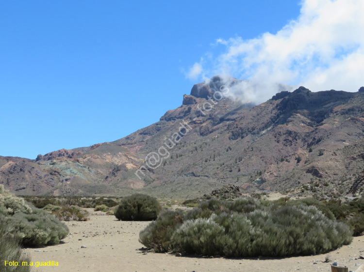 EL TEIDE (107)