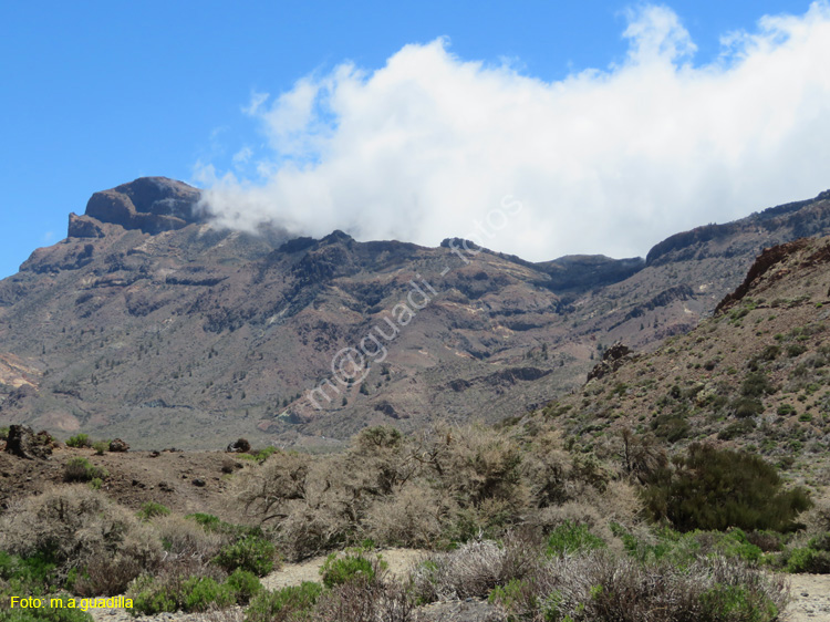 EL TEIDE (110)