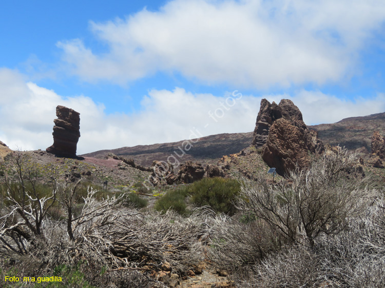 EL TEIDE (117)