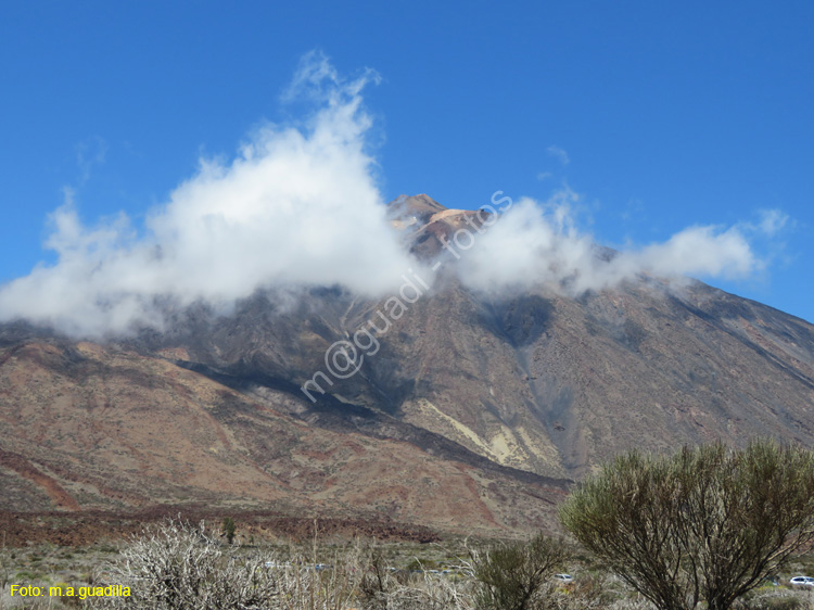 EL TEIDE (118)