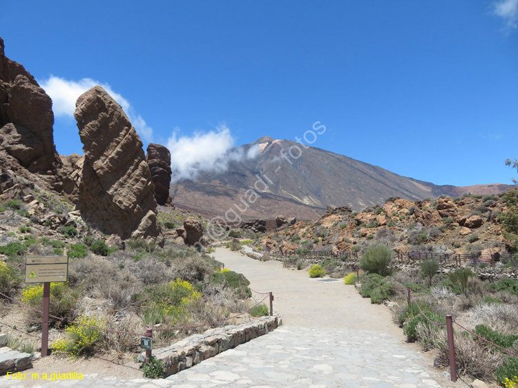 EL TEIDE (122)