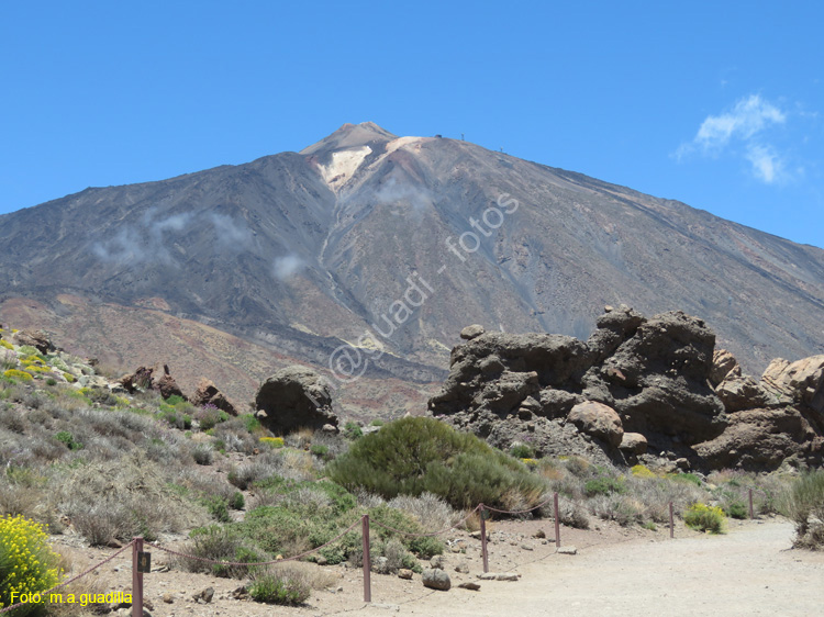 EL TEIDE (126)