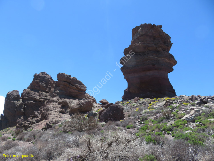 EL TEIDE (130)