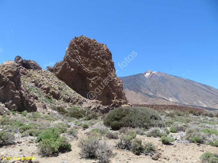 EL TEIDE (134)