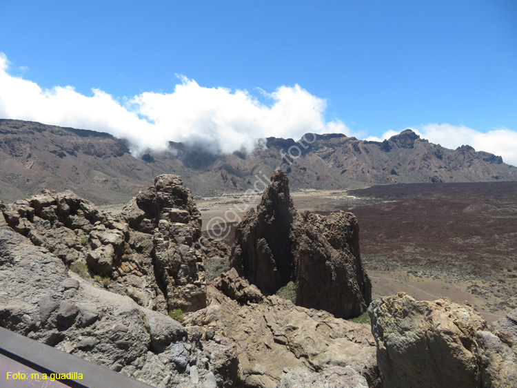 EL TEIDE (138)