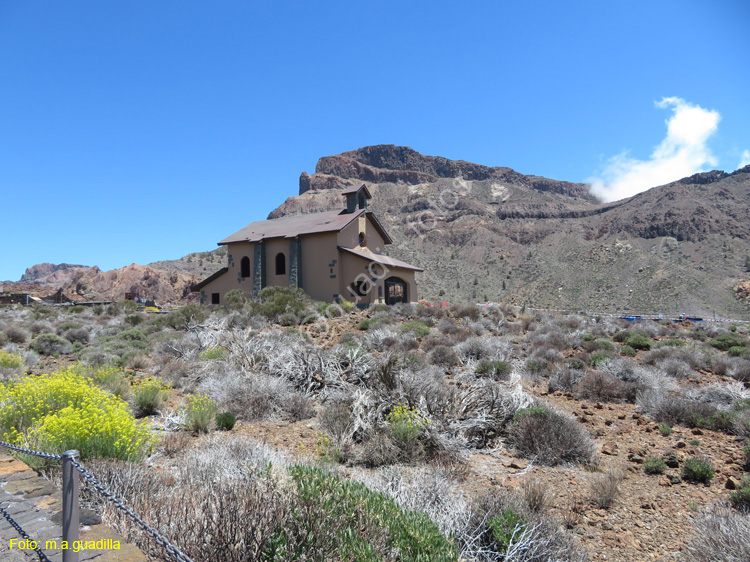 EL TEIDE (145)