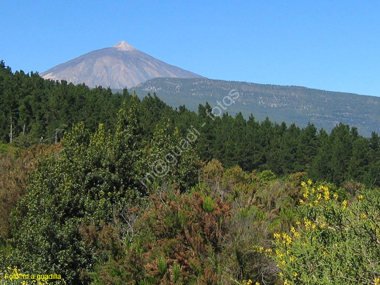 EL TEIDE (148) 2007