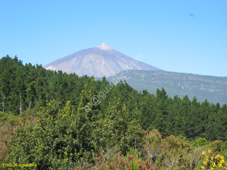 EL TEIDE (149) 2007