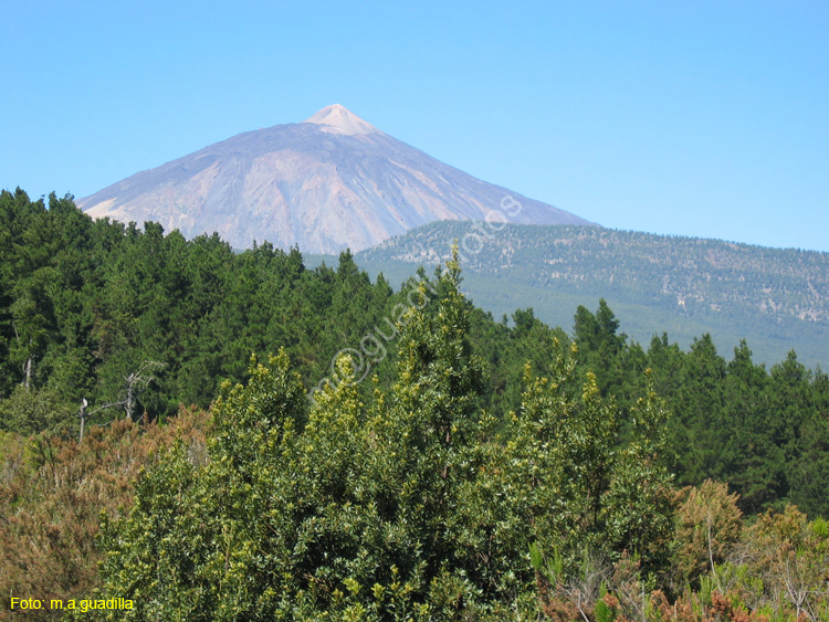 EL TEIDE (151) 2007