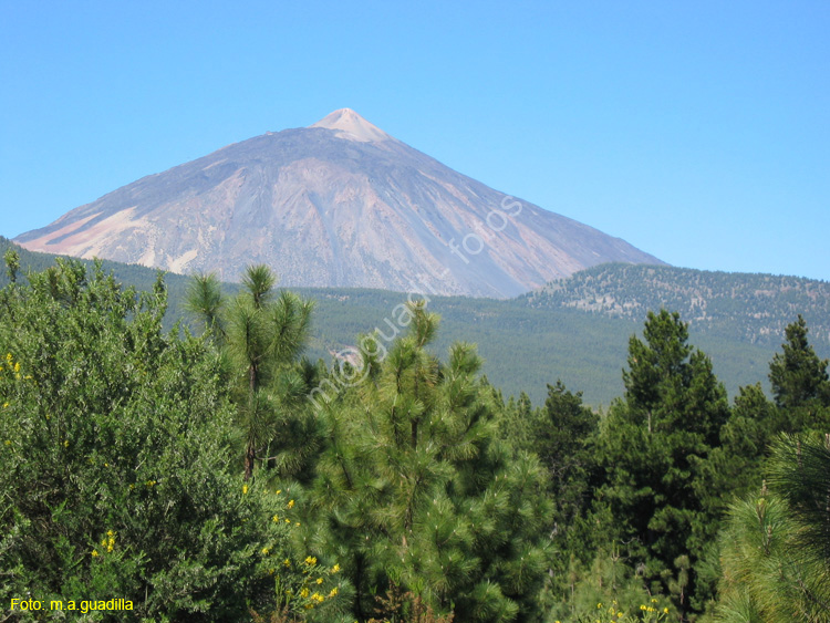EL TEIDE (154) 2007
