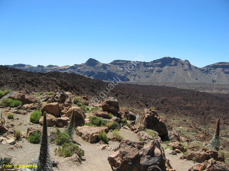 EL TEIDE (160) 2007