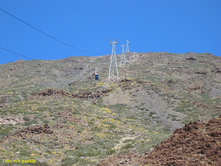 EL TEIDE (175) 2007