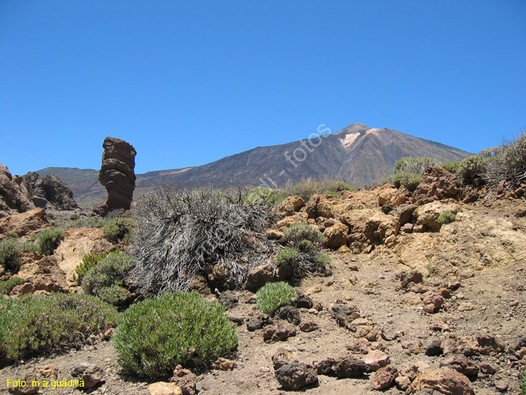 EL TEIDE (178) 2007