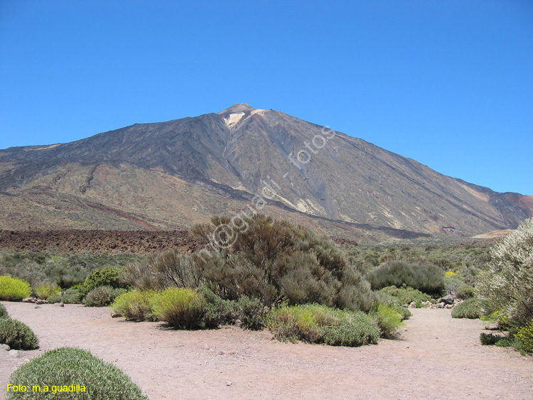 EL TEIDE (187) 2007