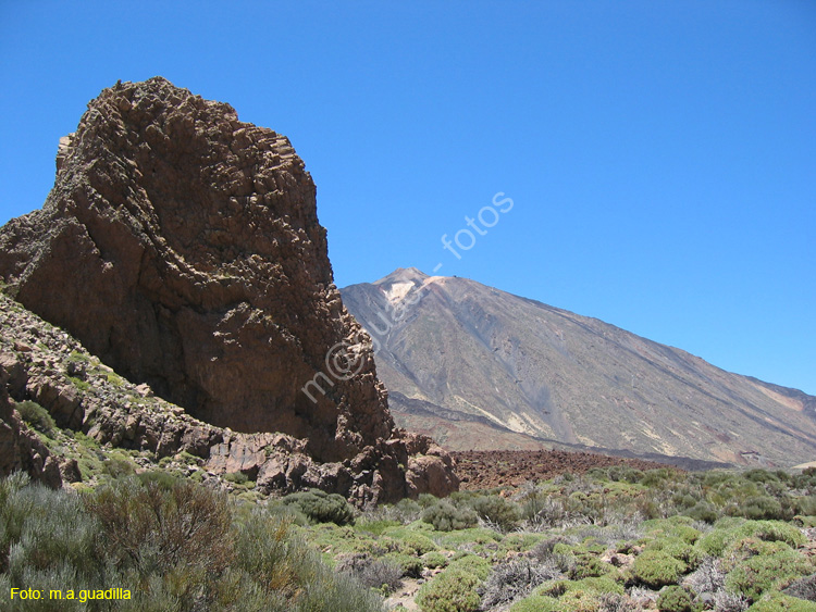 EL TEIDE (190) 2007