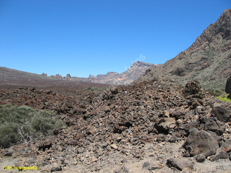 EL TEIDE (196) 2007