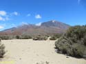 EL TEIDE (105)
