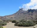 EL TEIDE (107)
