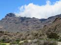 EL TEIDE (110)