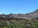 EL TEIDE (111)