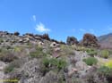 EL TEIDE (129)