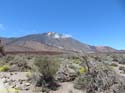 EL TEIDE (131)