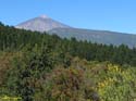 EL TEIDE (148) 2007