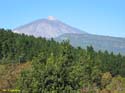 EL TEIDE (151) 2007