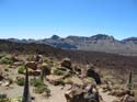 EL TEIDE (160) 2007