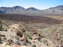 EL TEIDE (162) 2007