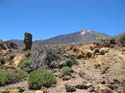 EL TEIDE (178) 2007