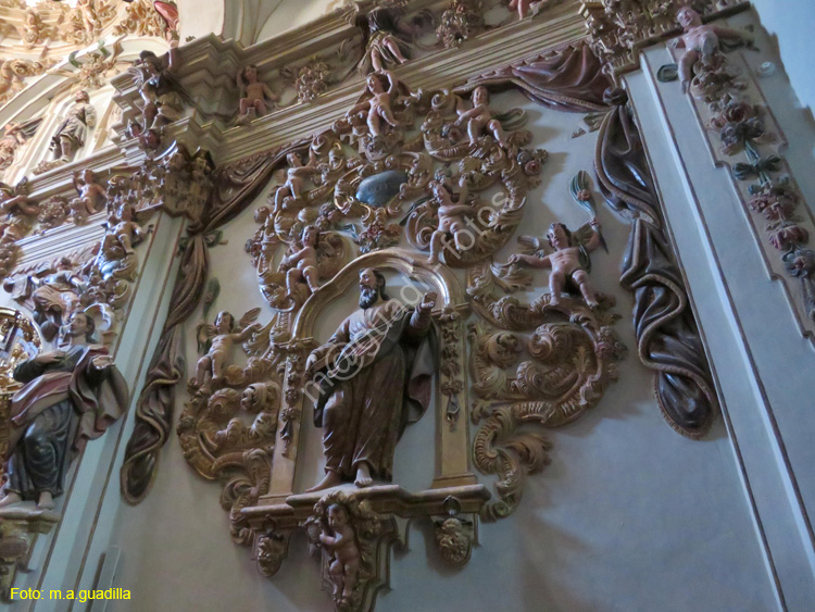 TUDELA (141) Catedral de Santa Maria la Mayor