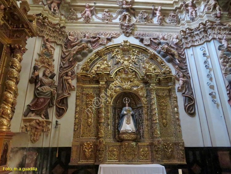TUDELA (146) Catedral de Santa Maria la Mayor