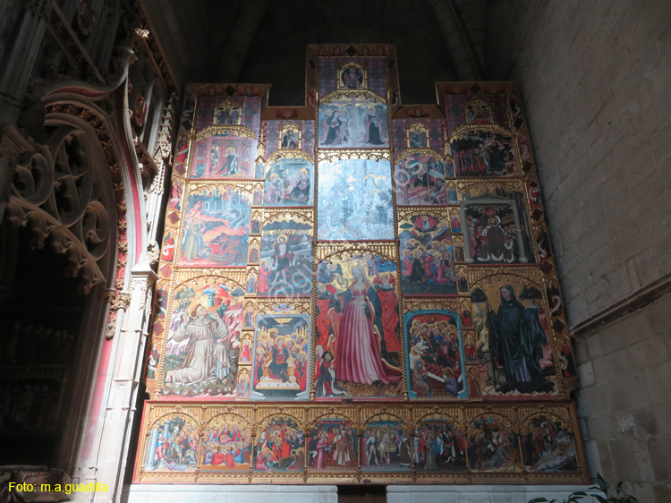 TUDELA (151) Catedral de Santa Maria la Mayor
