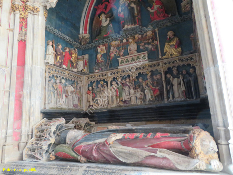 TUDELA (153) Catedral de Santa Maria la Mayor