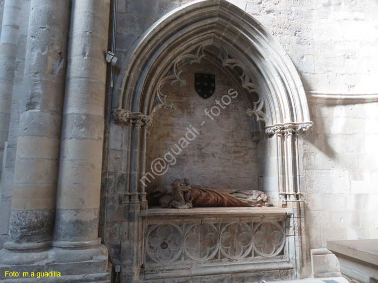 TUDELA (154) Catedral de Santa Maria la Mayor