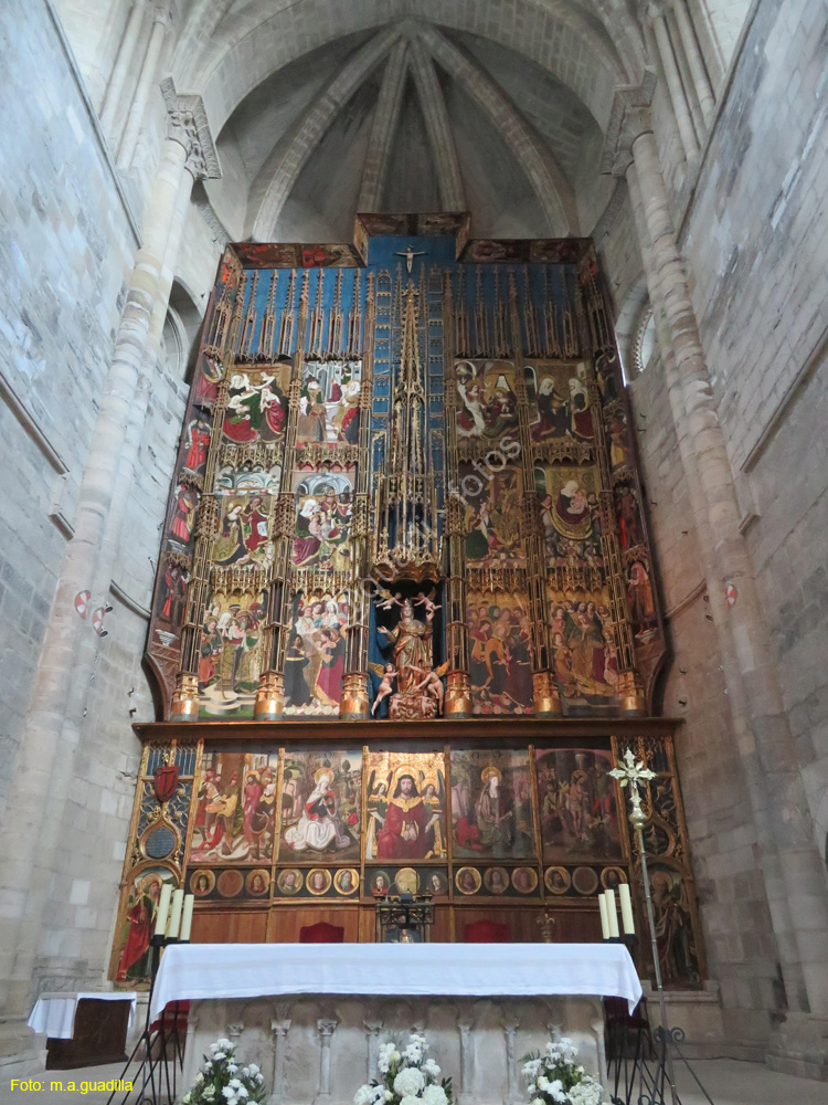 TUDELA (157) Catedral de Santa Maria la Mayor