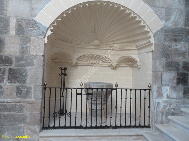 TUDELA (163) Catedral de Santa Maria la Mayor