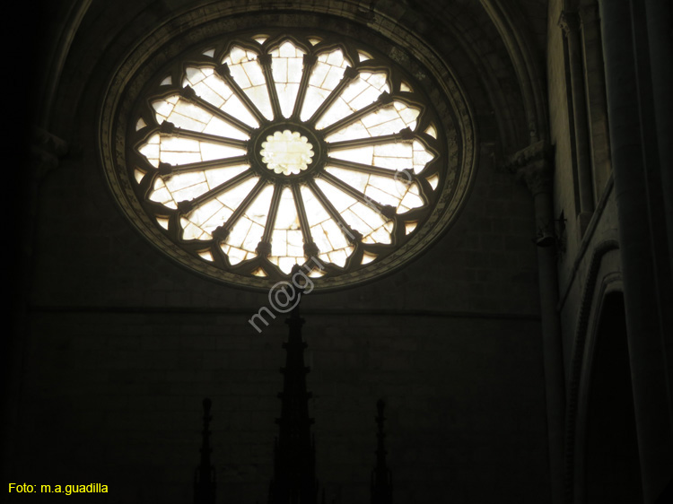 TUDELA (167) Catedral de Santa Maria la Mayor